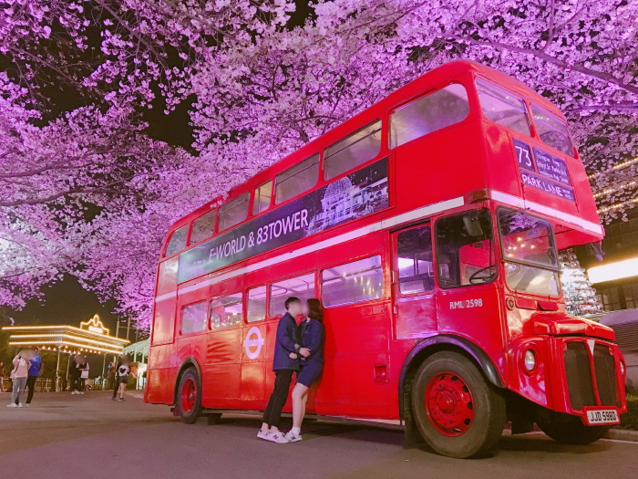 이월드 벚꽃축제 : 블라썸 피크닉 | 여기유